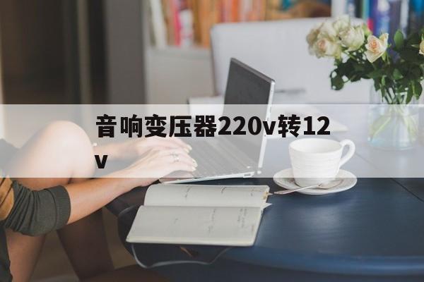 音响变压器220v转12v-220v转12v电源变压器能给电瓶充电吗